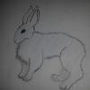 AAAWWEEEE ISH A BUNNYYY